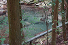 camp30 (645)_thumb.png